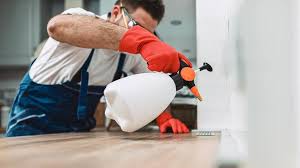 Real Estate Pest Inspections in Gladstone, MI